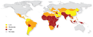 Global Prevalence of Micronutrient Deficiencies. Source: WHO