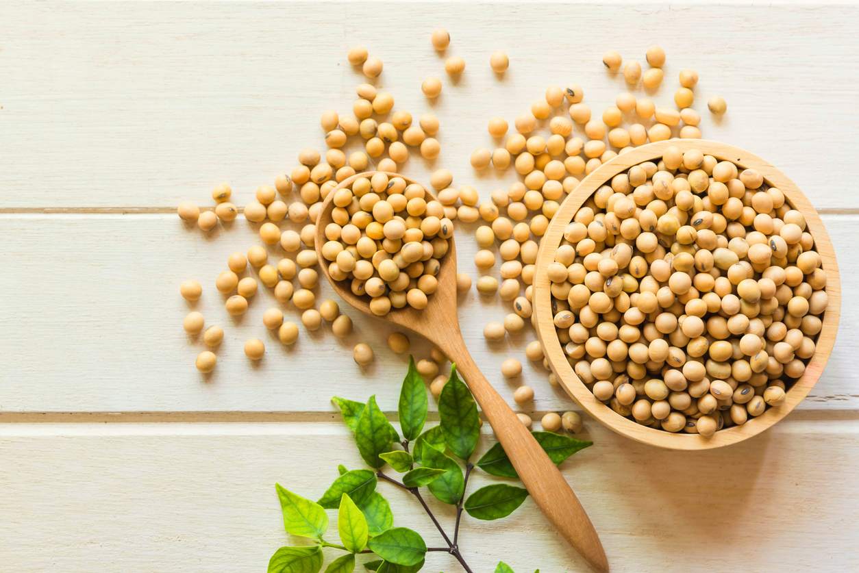 Consumo de soja na alimentação diária e seus benefícios