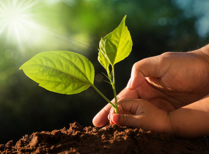 Cenário agrícola para 2024