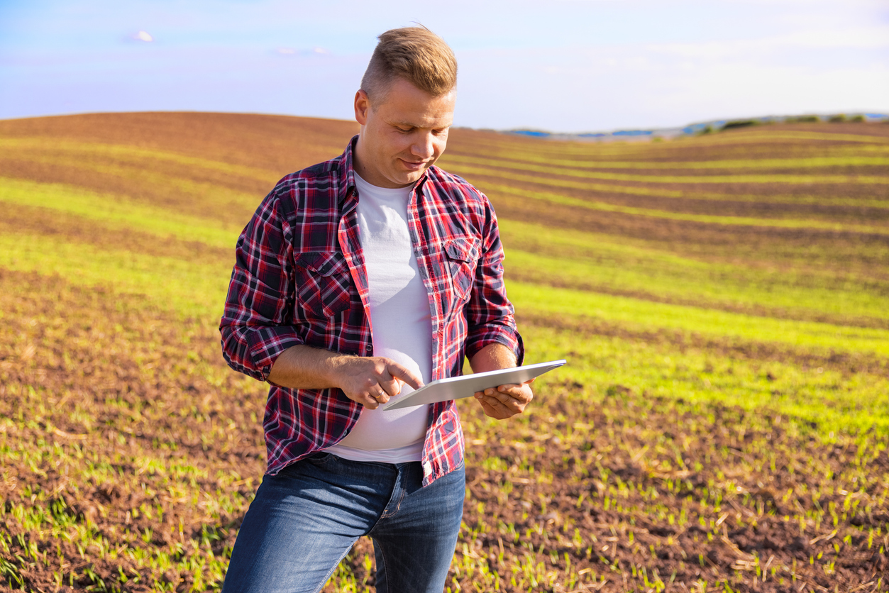 Dicas para aumentar a produtividade na plantação