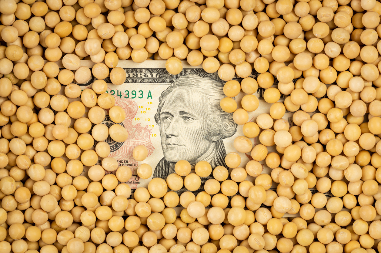 Qual o cenário dos commodities após as enchentes no Sul?