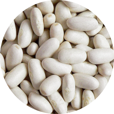 Alubia Beans