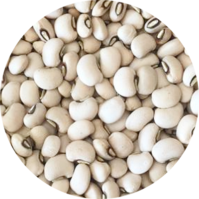 Jumbo Brown Eye Beans