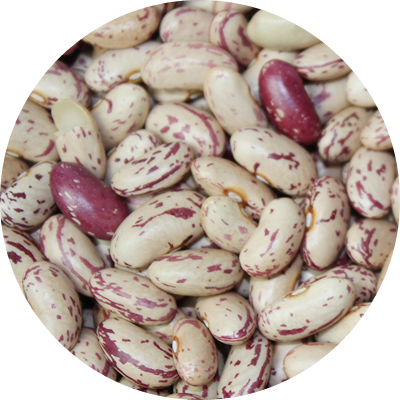 Cranberry Beans