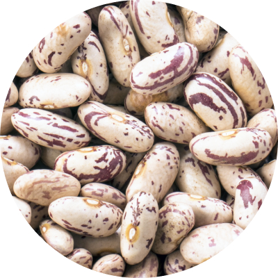 Light Speckled Kidney Beans