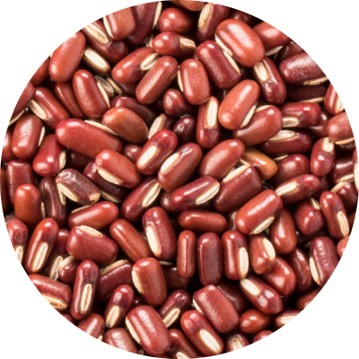 Red Bamboo Beans 