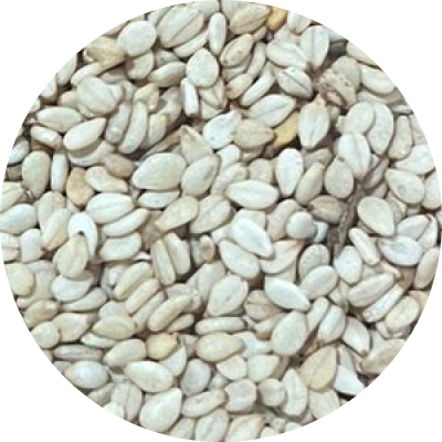 K3 Sesame