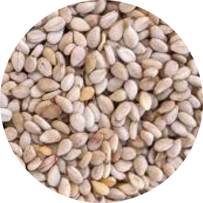 Sweet Sesame